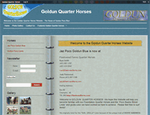 Tablet Screenshot of goldun.com